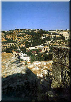 A view of Gethsemane